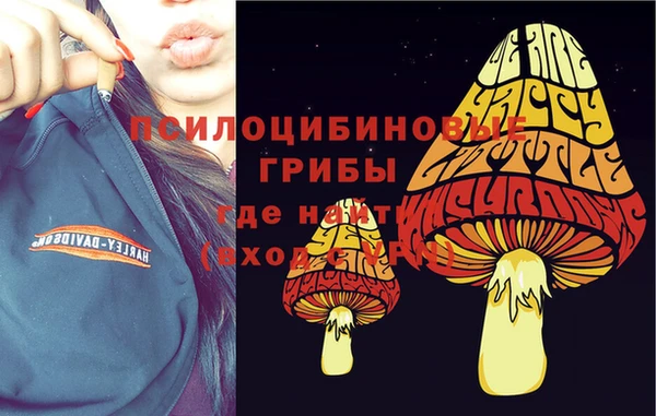 амф Алексин