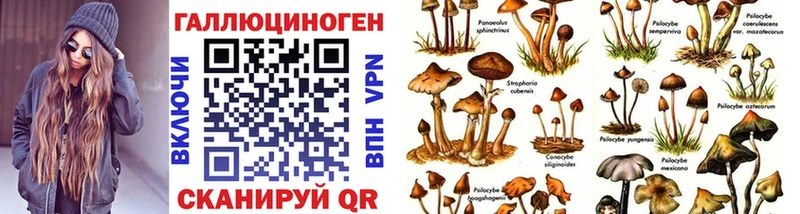 Псилоцибиновые грибы Magic Shrooms  Купить  Кушва 